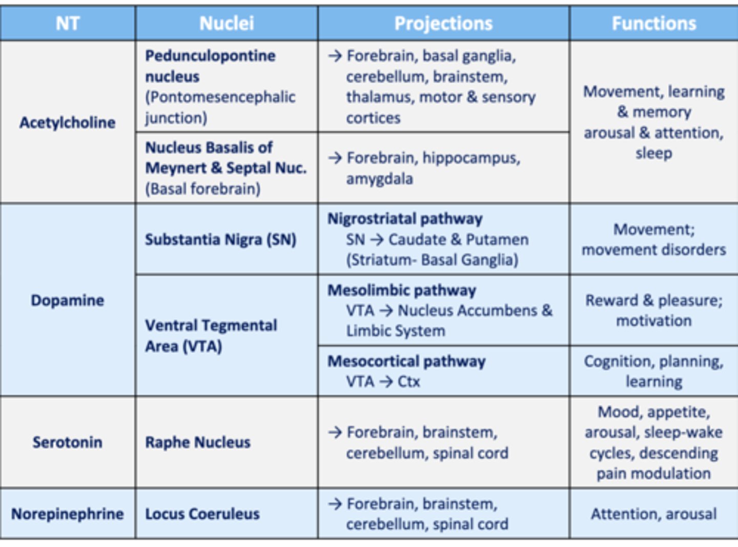 <p>1. nigrostriatal pathway (movement)</p><p>2. mesolimbic pathway (reward, pleasure, motivation)</p><p>3. mesocortical pathway (cognition, planning, learning)</p>