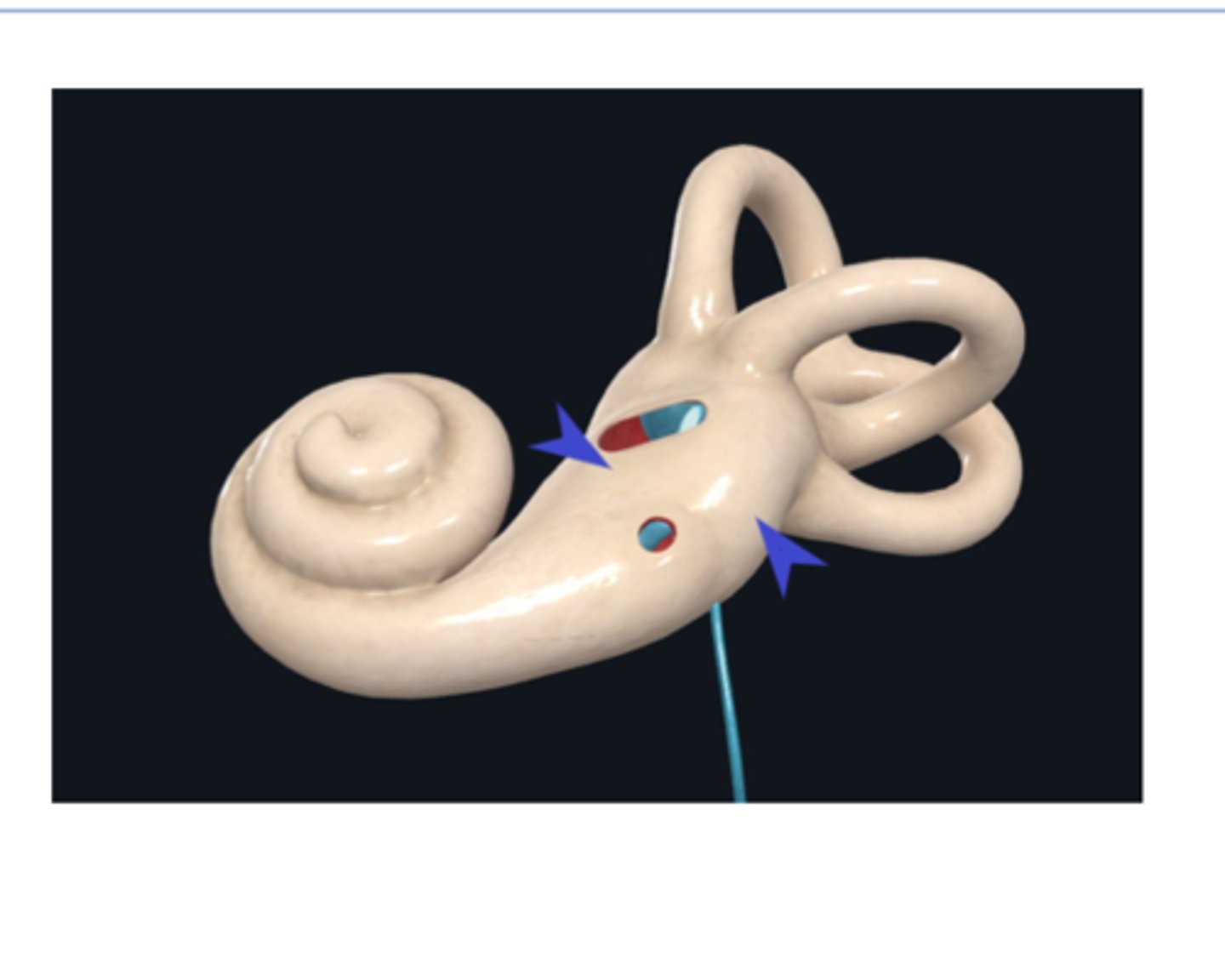 <p>What is this structure?</p>