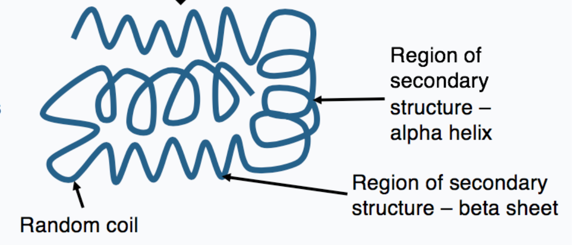 <p>3D overall fold of the protein containing secondary structures</p>