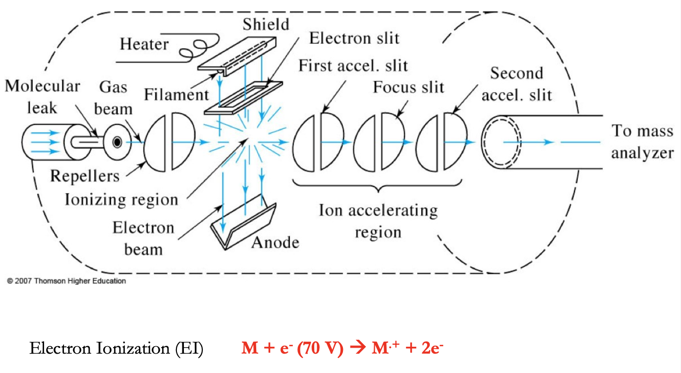 <ul><li><p>electrons from filament hit the sample, path of electrons and molecules are on a right angle</p></li><li><p>this method is applicable to all volatile compounds (&gt;10³ Da) and gives reproducible mass spectra with <strong>fragmentation</strong> to provide structural info.</p></li></ul><p></p><p>Filament - tungsten or rhenium (our source of 70 eV e-s)</p><p>Target - anode used in association w/ the filament to produce e-s</p><p>Repeller - positively charged electrode used to “push” + ions out of the ionization source</p><p>Lens stack - series of increasingly more negative electrodes used to accelerate our ions to constant KE</p><ul><li><p>Why vacuum? </p></li></ul><p>-to ensure filament does not burn out</p><p>-to help vaporize samples</p><p>-to reduce collision b/t formed ions and atmospheric gases</p><p>-to remove sample from instrument after analysis</p><p></p><p><strong>M + e- (70 eV) → M+ + 2e-</strong></p><p></p><p><strong>Electron Ionization Process</strong></p><p></p><p>M (IE)→ M+. (odd-electron ion) (excess energy) → EE+ (fragment ion)</p><p>Electron removed from orbital with lowest IE n &lt; pi&lt; sigma</p><p>Methane (CH4 IE = 12.6 ev)</p><p>Ethene H2C=CH2 IE = 10.5 eV)</p><p>Methyl amine H3C-NH2 IE = 10.3 eV</p>