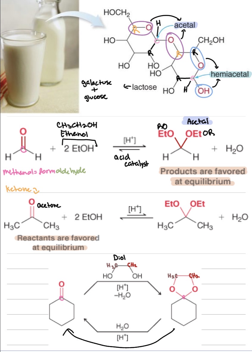 <ul><li><p>1 OH group &amp; 1 OR group&nbsp;</p></li><li><p>2&nbsp;OR groups</p></li></ul><p></p>