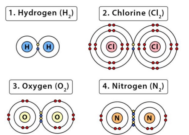 <ul><li><p>Equal sharing of electrons → lack electronegative atoms</p></li><li><p>E.g. molecules made up entirely of C and H (ex Methane)</p></li></ul><p></p>