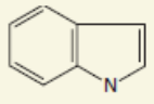 <p>[Alkaloids Compounds] Strychnine is an example of what alkaloid</p>