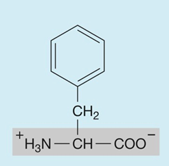 <p>hydrophobic (nonpolar)</p>