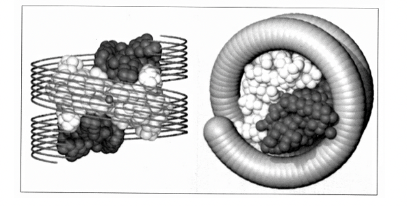 <ul><li><p>the formation of <strong>one contrained supercoil per nucleosome</strong></p></li></ul><p>→ this is <strong>released</strong> when histones are removed</p><ul><li><p><strong>wrapped around twice</strong></p></li></ul><p></p>