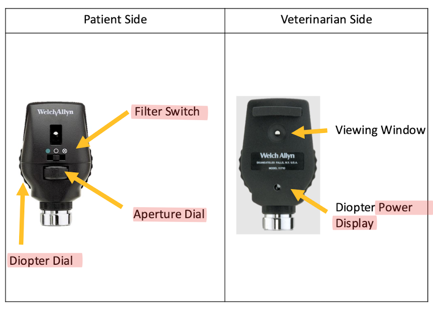 <p>Direct Opthalmoscope </p><p></p>