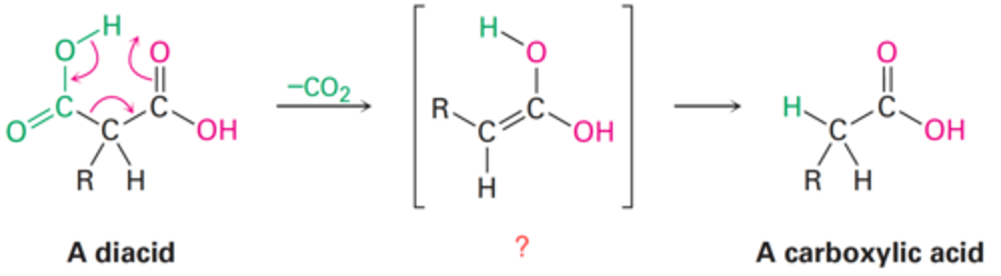 <p>What is the intermediate of a diacid following decarboxylation?</p>