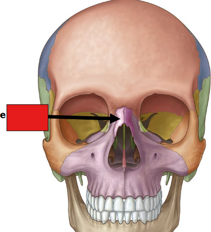 <p>fill in the red box</p>