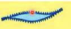 <p>Rod shaped bacteria that are spindle-like in shape</p><p>Wide in the middle and tapers at both ends</p>