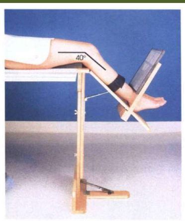 <p>PATELLA AND</p><p>PATELLOFEMORAL</p><p>JOINT</p>