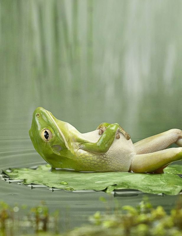 <p>relax</p>