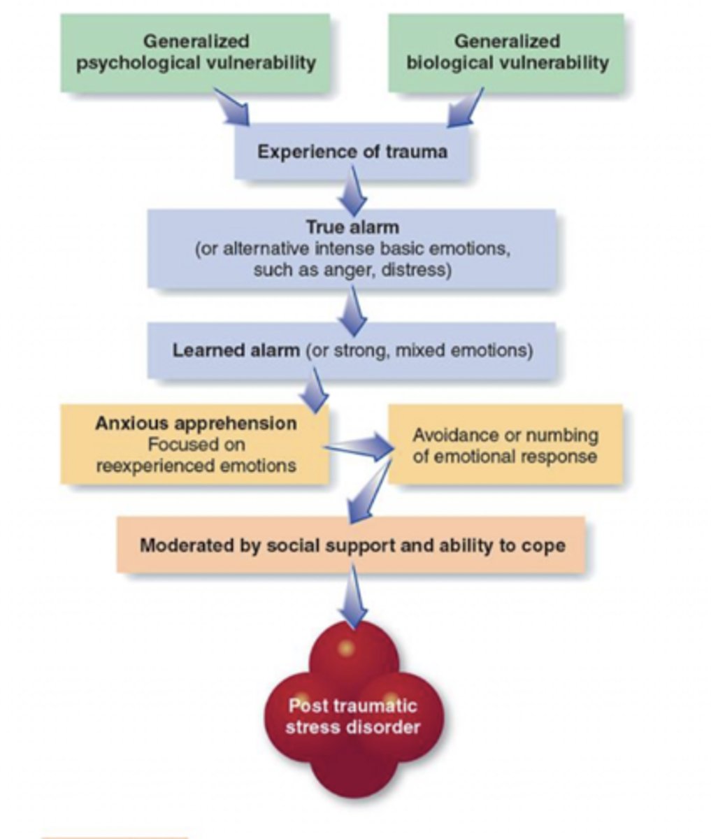 <p>biological + psychological vulnerability + trauma exposure. </p>