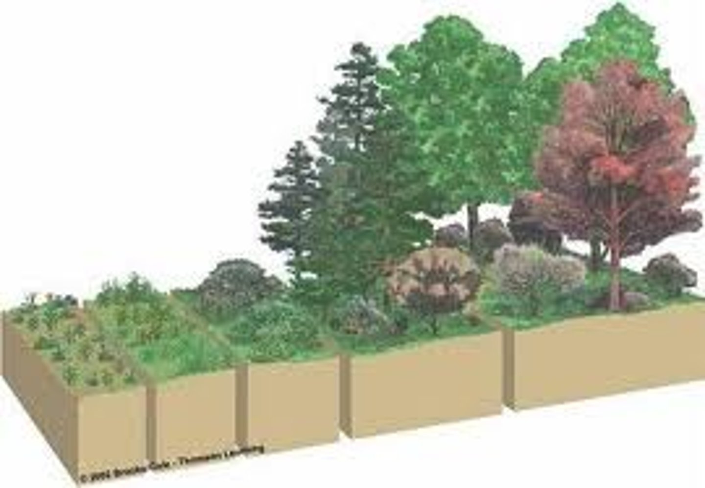 <p>succession following a disturbance that destroys a community without destroying the soil</p>