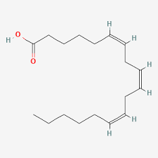 <ul><li><p>Unsaturated </p></li><li><p>18:3</p></li><li><p>omega 6</p></li></ul>