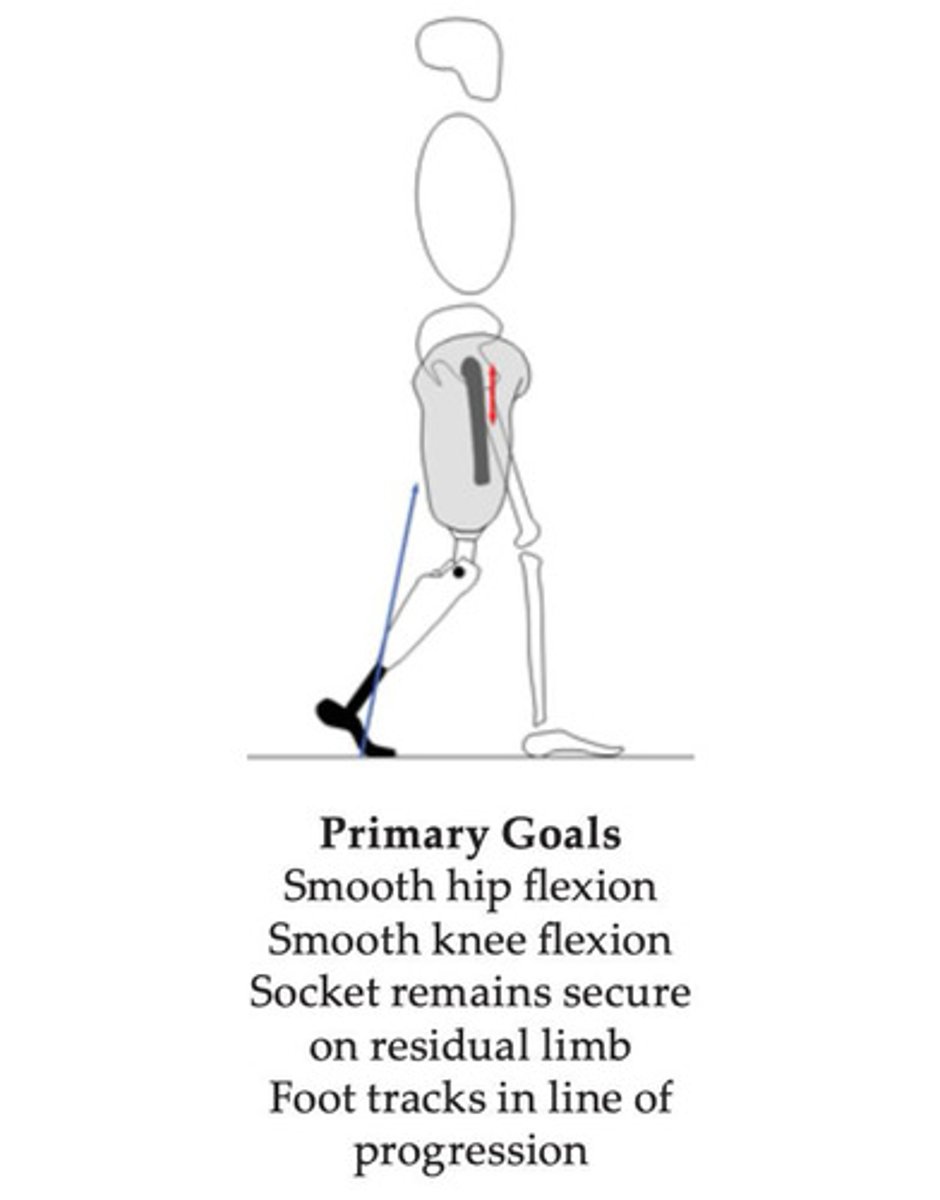 <p>1. smooth hip FL</p><p>2. smooth knee FL</p><p>3. maintain suspension</p><p>4. foot track through LOP</p>