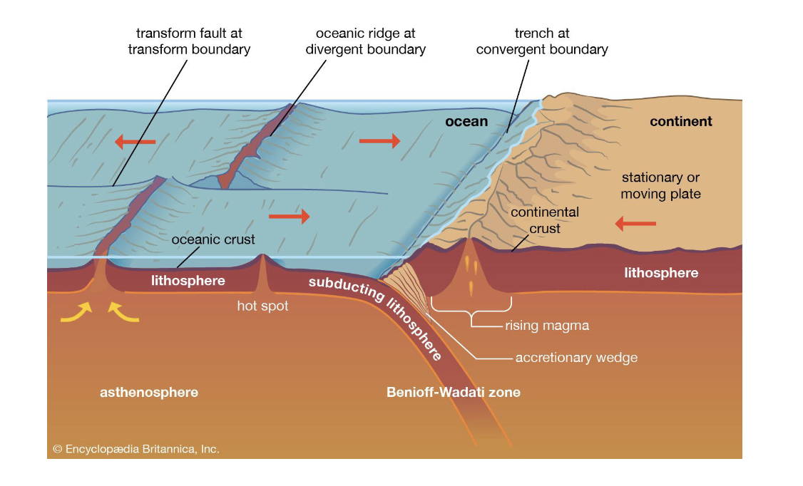 <p>Earths interior provides energy for plate motion. What powers the movement of Earth’s tectonic plates&nbsp;</p>