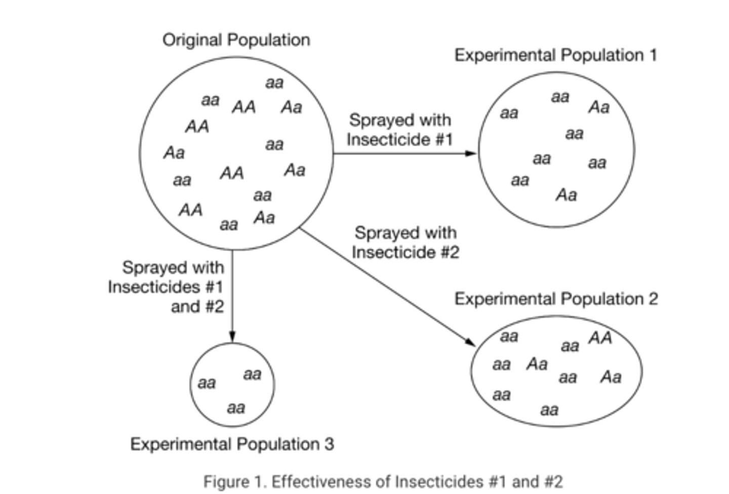 <p>A Continue treating the three insect populations with the same insecticides and determine whether their efficiencies decline significantly after several generations</p>