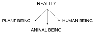 <p>Study of reality, beings, and being</p>