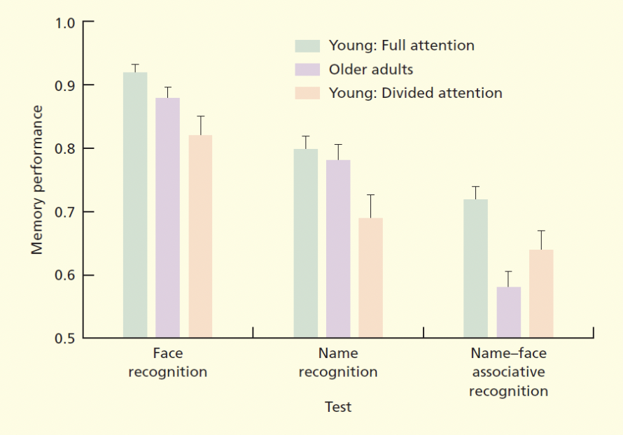 <ul><li><p><span style="background-color: transparent;"><span>Older adults are likely to take longer to perceive and process material presented to them during study.</span></span></p></li></ul><ul><li><p><span style="background-color: transparent;"><span>This may also prevent the use of learning strategies during encoding</span></span></p></li></ul><p><span style="background-color: transparent;"><span>Naveh-Benjamin et al. 2004</span></span></p><ul><li><p><span style="background-color: transparent;"><span>Found initially that older adults had greater difficulties recalling unrelated word-pairs (</span><em><span>cat-book</span></em><span>) than related ones (</span><em><span>dog-bone</span></em><span>)</span></span></p></li><li><p><span style="background-color: transparent;"><span>Assumed initially to be a problem of attentional impairment in older adults (</span><strong><span>attention deficit hypothesis</span></strong><span>)</span></span></p></li><li><p><span style="background-color: transparent;"><span>But…</span></span></p></li><li><p><span style="background-color: transparent;"><span>Researchers examined Younger Adults, Older Adults, and Younger Adults with divided attention</span></span></p></li><li><p><span style="background-color: transparent;"><span>Found that in the face and name recognition conditions, older adults performed better than divided attention. But worse than divided attention for face-name associations.</span></span></p><ul><li><p><span style="background-color: transparent;"><span>Associative Deficits in Older Adults</span></span></p></li></ul></li></ul><ul><li><p><span style="background-color: transparent;"><span>Naveh-Benjamin et al. (2004) observed deficits in older adults that couldn’t be explained by attention alone.</span></span></p></li><li><p><span style="background-color: transparent;"><span>Age effects were only observed in the associative recognition condition</span></span></p></li><li><p><span style="background-color: transparent;"><span>This has led to the formulation of the </span><strong><span>associative-deficit hypothesis</span></strong><span>, namely that older adults have trouble forming associations between previously unrelated stimuli.</span></span></p></li><li><p><span style="background-color: transparent;"><span>Not an attention/strategy problem, but an impairment of basic learning.</span></span></p></li></ul><p></p>