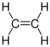 <p>bond that shares 4 e-</p>