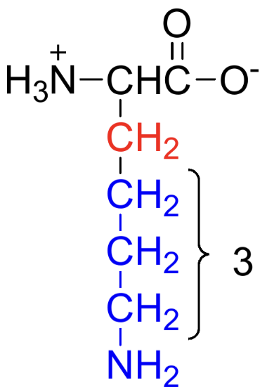 <p>Name, Type (A/N/B), Polarity</p>