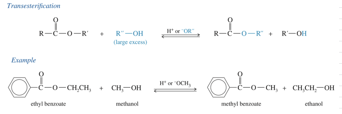 <ul><li><p>One alkoxy group can be replaced by another w/ <span style="color: blue"><strong>acid/base catalyst</strong></span></p></li><li><p>w/ large <span style="color: blue">excess</span> of desired alcohol</p></li></ul><p></p>