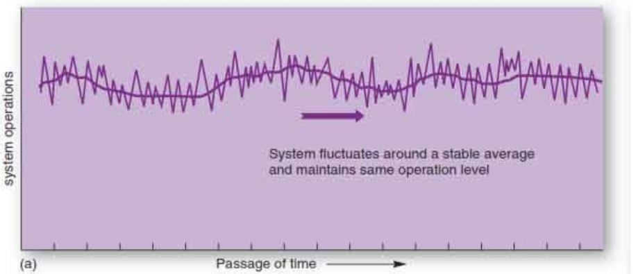 <p>What’s a<strong> steady state equilibrium</strong>?</p>