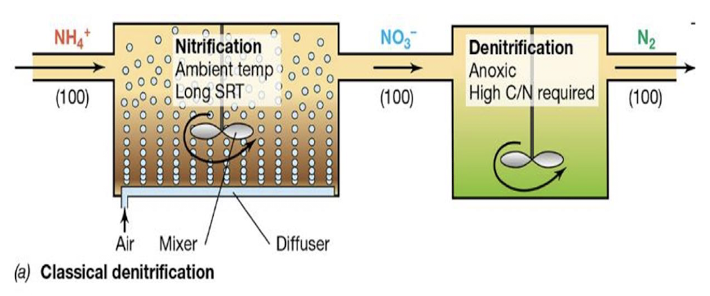 <p>(Denitrification) <strong>Process converting reactive ammonium NH<sub>4</sub><sup>+</sup> into gaseous nitrogen</strong> (N2), reducing nitrogen compounds in wastewater to improve water quality.</p>