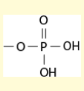 <p>Polar, neg, charged @ the pH of a cell, hydrophilic</p>