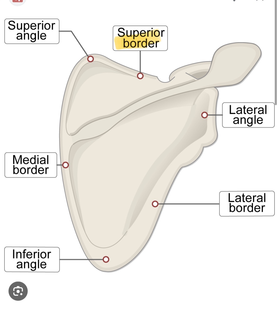 knowt flashcard image