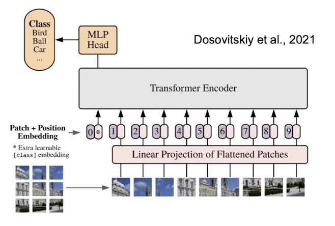 <p>A vision transformer (ViT) is a deep learning model that adapts the transformer architecture for image analysis by treating an image as a sequence of patches (similar to how NLP models process words)</p><p>Process:</p><ul><li><p>break image up into patches (# patches as hyperparameter)</p></li><li><p>linearize patches (flatten out; concatenate rows; positional embedding for which patch it is)</p></li><li><p>project down to lower dimensional embeddings (map long pixel vector into more condensed, lower dimensional embedding)</p></li><li><p>train on image classification</p></li></ul><p>This approach allows the model to capture both local and global relationships across the entire image simultaneously (unlike CNNs that start with local features)</p>