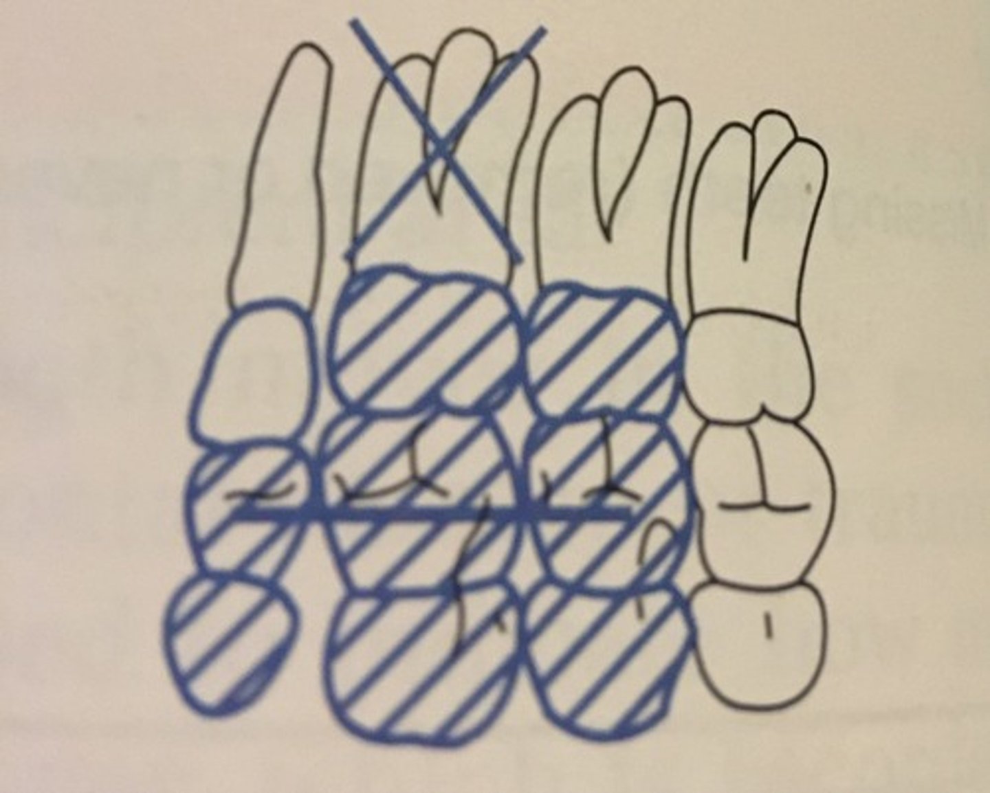 knowt flashcard image