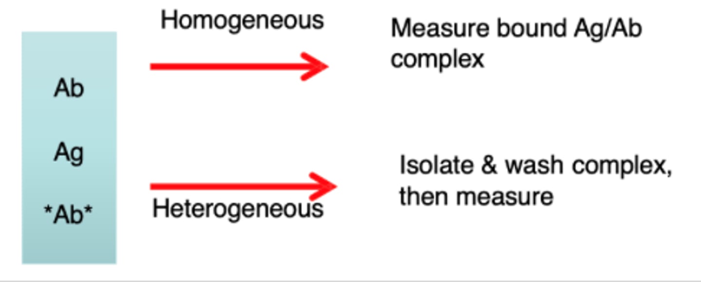 <p>Homogenous and Heterogenous Immuno assay</p><p>Homogenous: do not require separation, limited washings</p><p>Heterogenous: require separation or washing of bound Ag/Ab complexes on solid phase</p><p>Solid phase: fixed receptor sites, immobilized on a surface such as wells or beads</p>