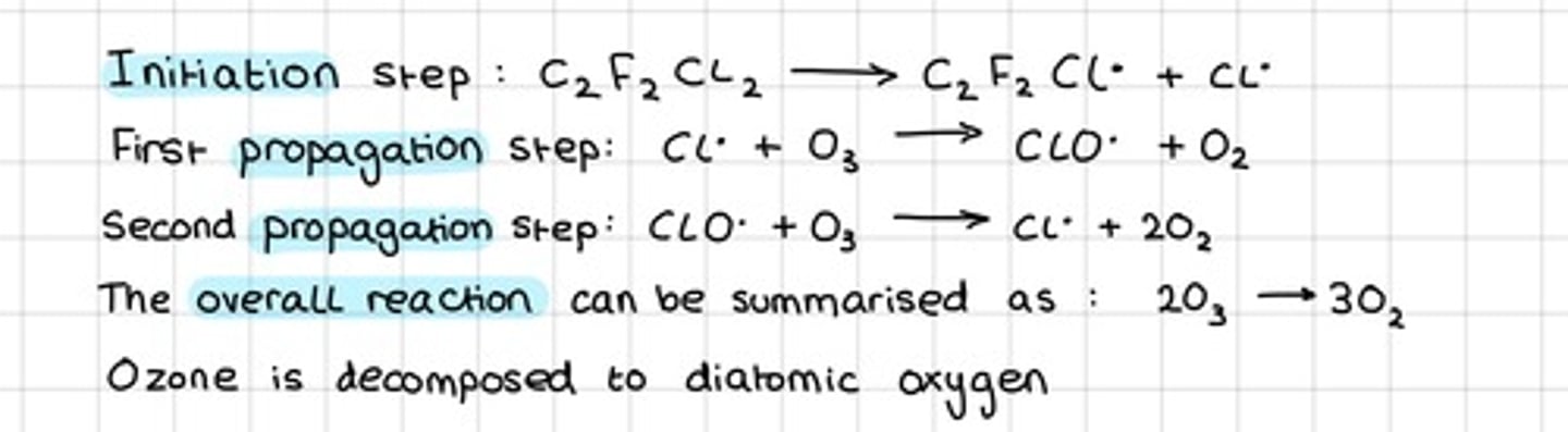 <p>- CFC molecules are broken down by UV to create chlorine free radicals.</p><p>- Chlorine atoms react with ozone atoms.</p><p>- Chlorine atoms regenerated so can react with more ozone molecules.</p>