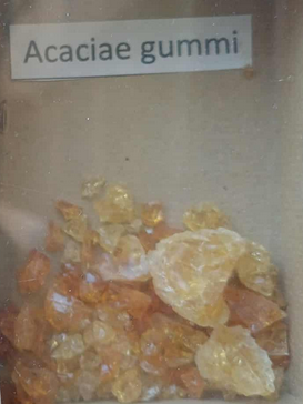 <p><span style="font-size: calc(var(--total-scale-factor) *12.00px);">Acaciae gummi</span><br><span style="font-size: calc(var(--total-scale-factor) *12.00px);">Acacia senegal</span><br><span style="font-size: calc(var(--total-scale-factor) *12.00px);">Mimosaceae</span><br><span style="font-size: calc(var(--total-scale-factor) *12.00px);">akáciamézga</span></p>
