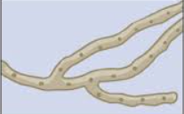 <p>What is this?</p>