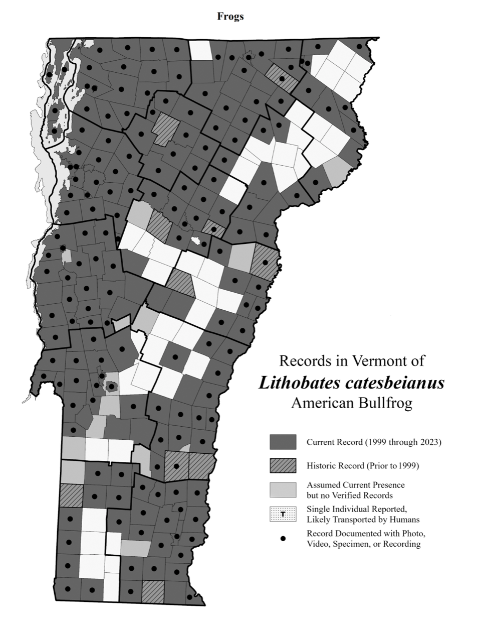 <p>Large, permanent bodies of water, emergent vegetation, lowlands, relatively common in VT (S5)</p>