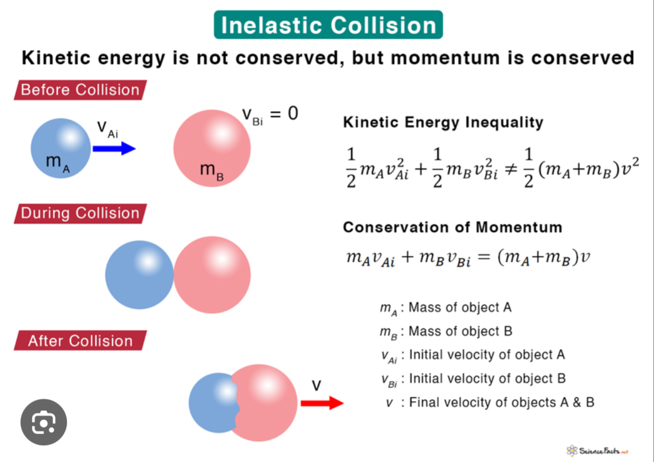 <p>Kinetic energy IS NOT conserved, but momentum is conserved</p><p>* ENERGY IS LOST in the form of sound, heat or internal energy of the new system</p><p>When an object in motion collides with another object at rest, and after the collision the objects stick together becoming one combined mass that travels at the same velocity</p><p>Equation = (M<sub>1i</sub>)(V<sub>1i</sub>) + (M<sub>2i</sub>)(V<sub>2i</sub>) = (M<sub>1+</sub>M<sub>2</sub>) V<sub>f</sub> → Used for inelastic collisions</p><p></p><p></p>