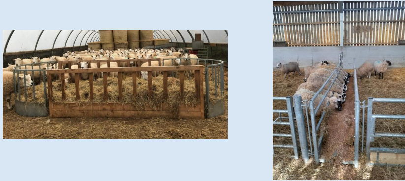 <p>whatbout this</p>