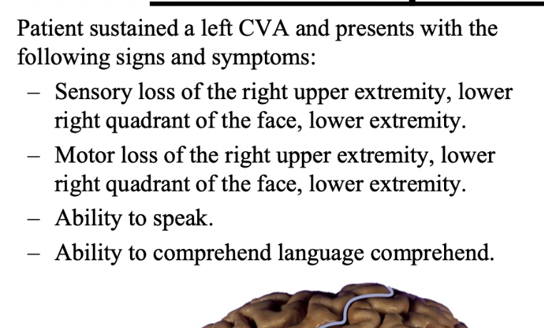 <p>what artery involved?</p>