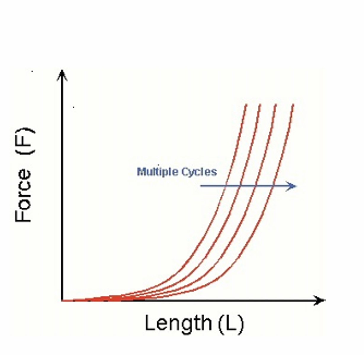 <p>Multiple cycles to increase muscle length for the same force</p>