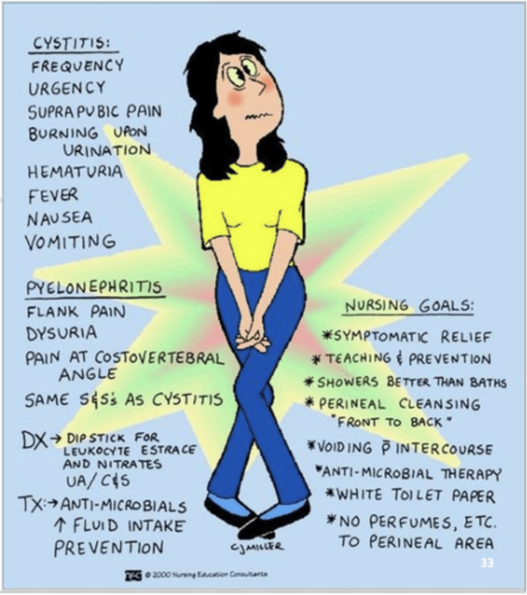 <p>Dysuria, Cloudy colored urine, Foul odor, In older pts → CONFUSION, Flank pain, Hematuria, Abdominal pain</p>