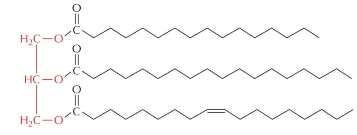<p>is the following a simple triglyceride? </p><p>why or why not? </p>