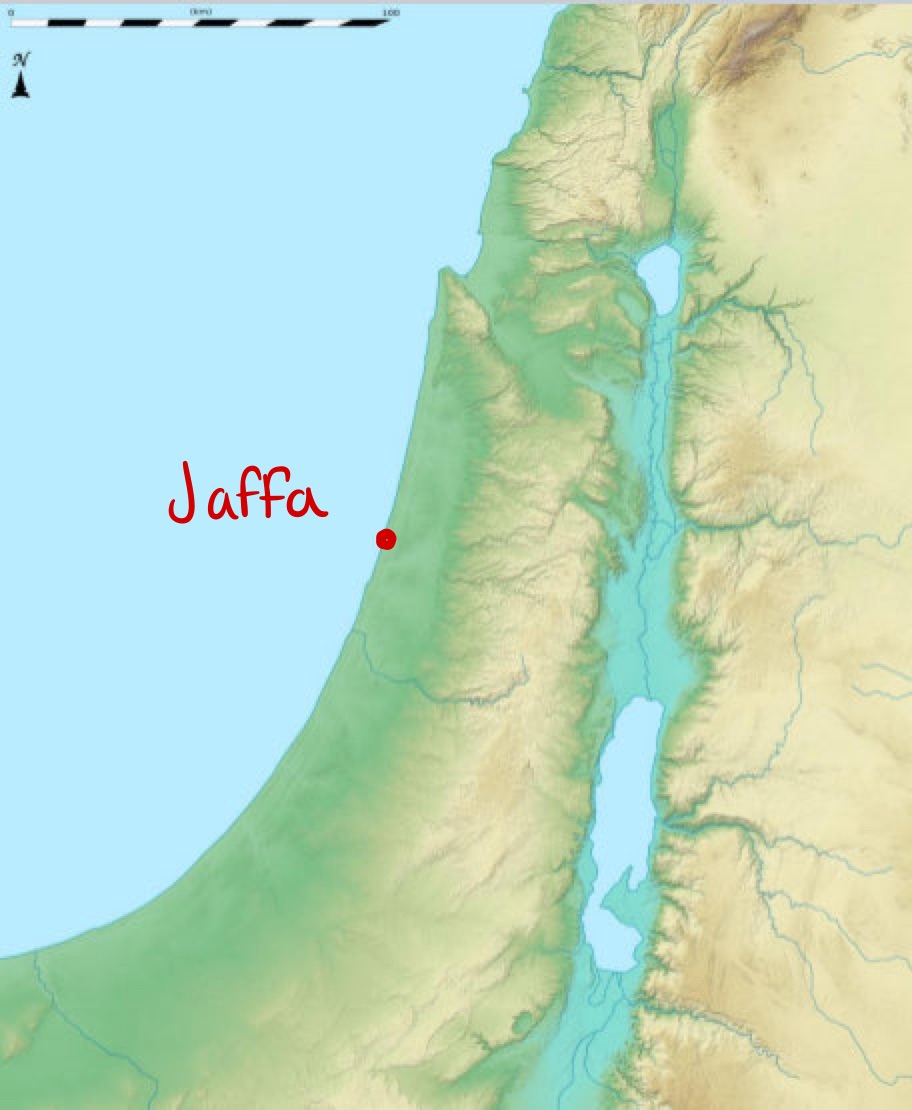 <p>Jaffa</p>