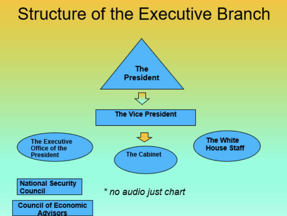 <p>President → Vice President → The Cabinet </p><ul><li><p><strong><u>The Cabinet: </u></strong>departments and institutions created by past presidents (Ex: Treasury, Defense, Education, etc) </p></li></ul><p>Executive Office of the President Includes: </p><ul><li><p>National Security Council </p></li><li><p>Council of Economic Advisors </p></li><li><p>Office of Management and Budget </p></li><li><p>The White House Staff </p></li></ul><p></p>