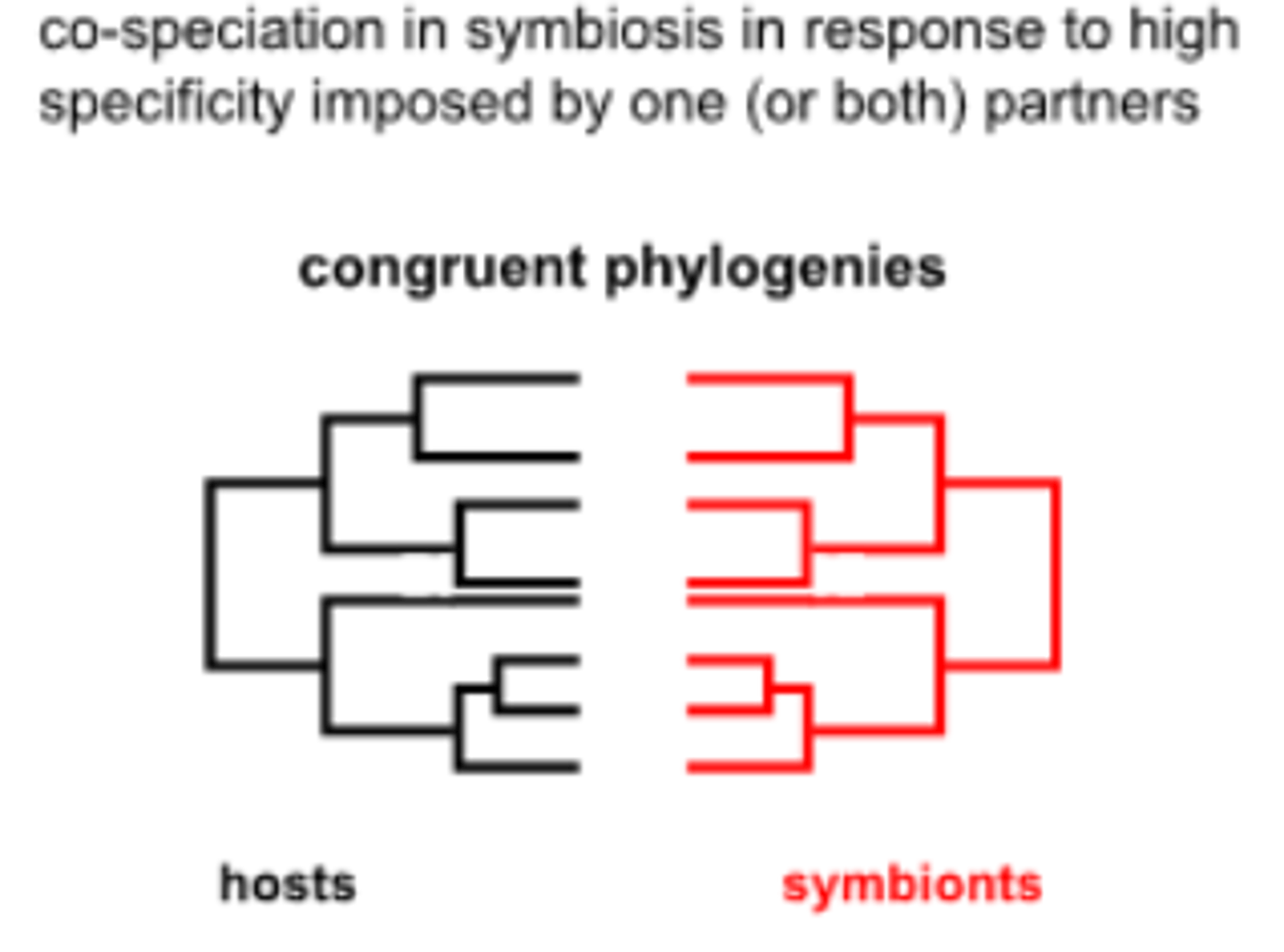 <p>when organisms speciate in response to each other</p>