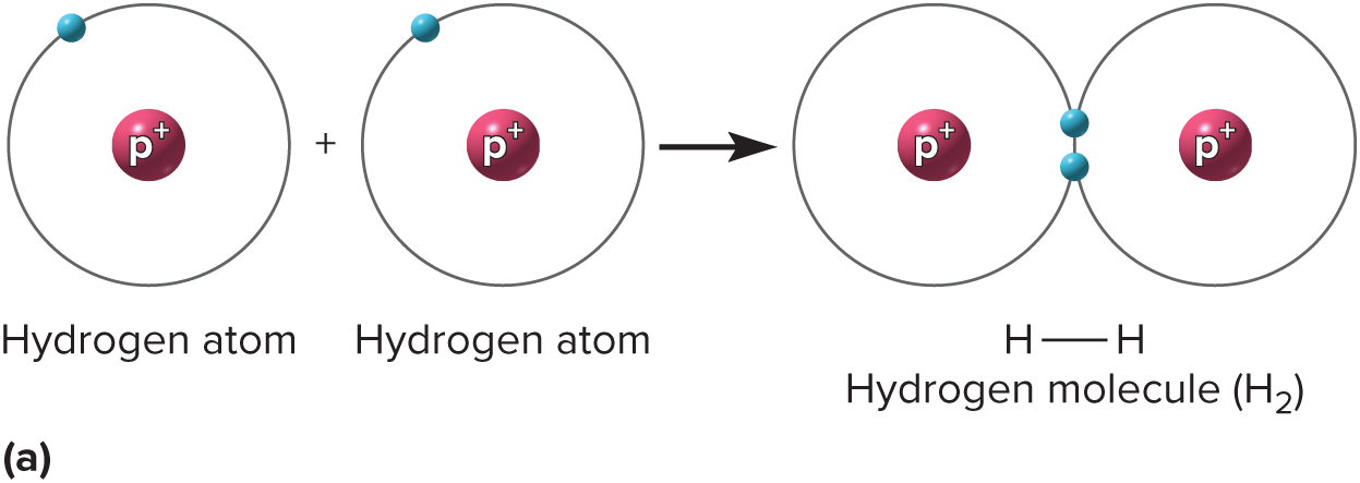 <p>a chemical bond that involves sharing a pair of electrons between atoms in a molecule</p>