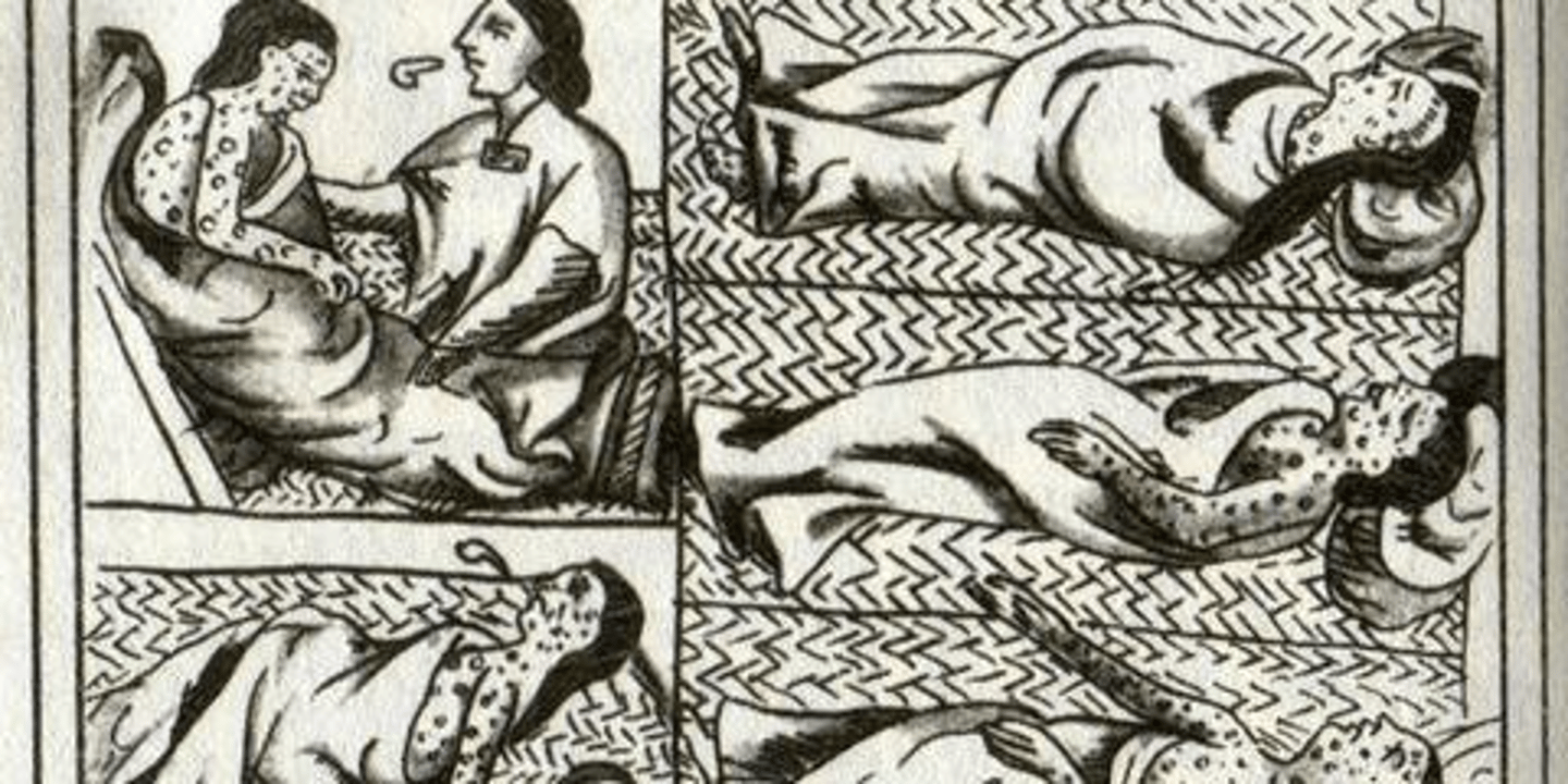 <p>A distinctive rash that can lead to permanent scars or death.</p>