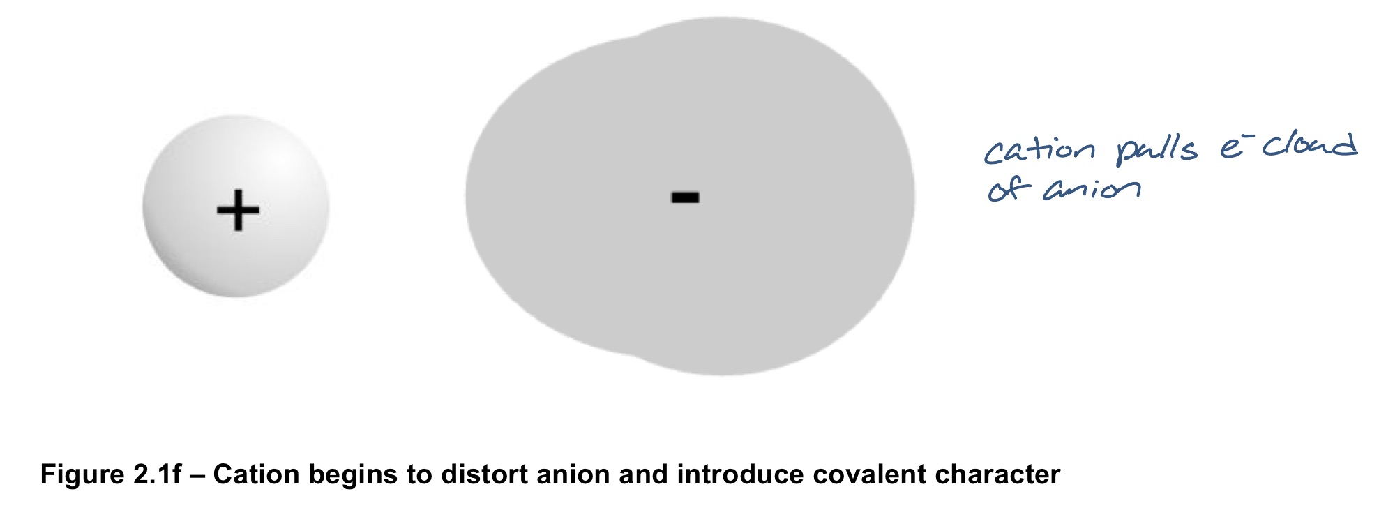 <p>if the cation is small and highly charged, it will have the ability to distort the charge cloud around the anion. distortion will be at a maximum when the cation is small and highly charged and when the anion is large and highly charged (electrons more loosely held)</p><p>further away electronegativities</p><p>example: BeTe</p><ul><li><p>Be is small and highly charged; higher coulombic attraction to electrons, distorting/pulling the electron cloud of Te</p></li><li><p>Te is large with a high charge</p></li></ul><p></p>