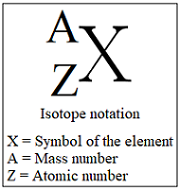 <p>symbol of the element,the element’s atomic number and the mass number</p>